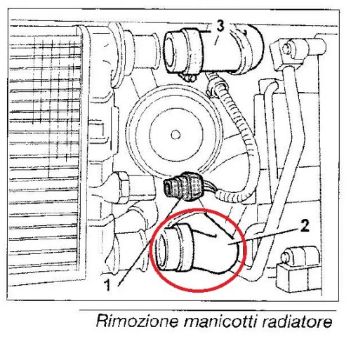 ManicottoRadiatore899.jpg